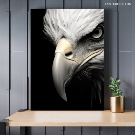 تابلو رخ عقاب eagle face