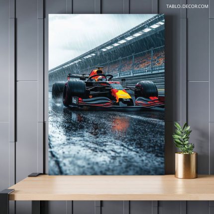 تابلو فرمول یک 14 Formula one
