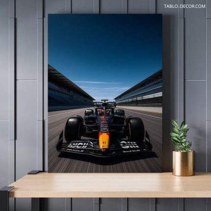 تابلو فرمول یک 30 Formula one