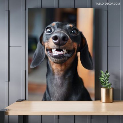 تابلو شاسی سگ the dog