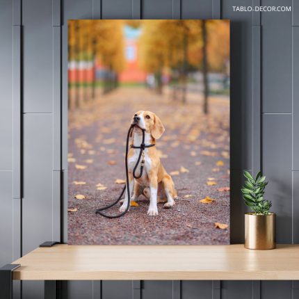 تابلو سگ برای دامپزشکی Dog for veterinary medicine