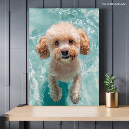 تابلو سگ در استخر Dog in the pool