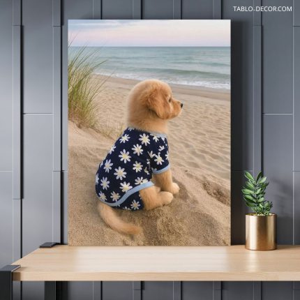 تابلو سگ تنها lonely dog