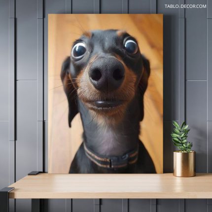تابلو سگ بامزه cute dog