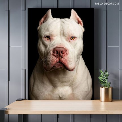 تابلو شاسی دکوری سگ Dog decorative chassis