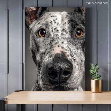 تابلو پرتره سگ dog portrait