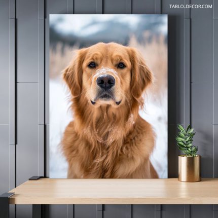 تابلو سگ با کیفیت عالی Excellent quality dog