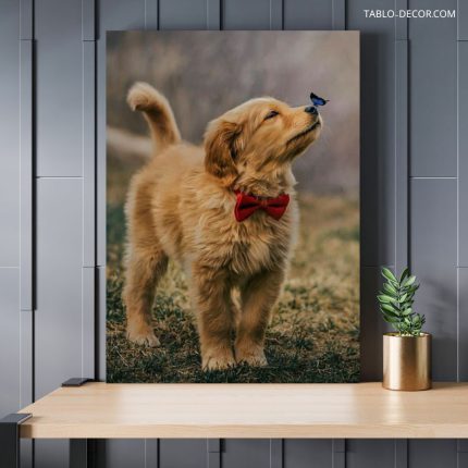 تابلو سگ مناسب هدیه Dog suitable as a gift