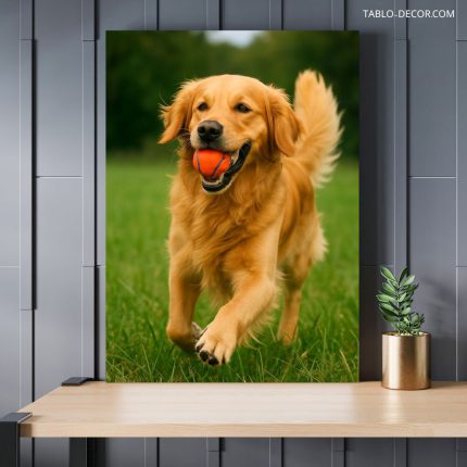 تابلو دکوراتیو سگ گلدن golden dog