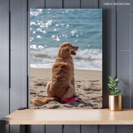 تابلو سگ در ساحل Dog on the beach